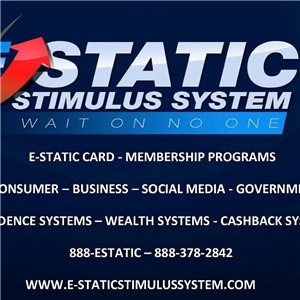 E-STATIC STIMULUS SYSTEM, INC. logo